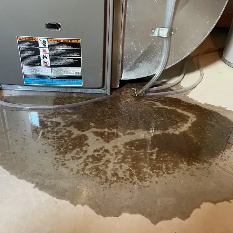 Appliance Leak Cleanup in Sugar Grove, IL